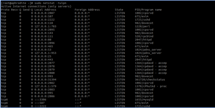 如何在Linux服務(wù)器中實(shí)時(shí)觀察 TCP 和 UDP 端口？.png