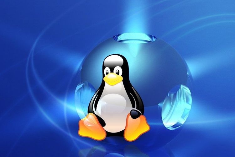 為什么Linux成為服務器的首選？.jpg