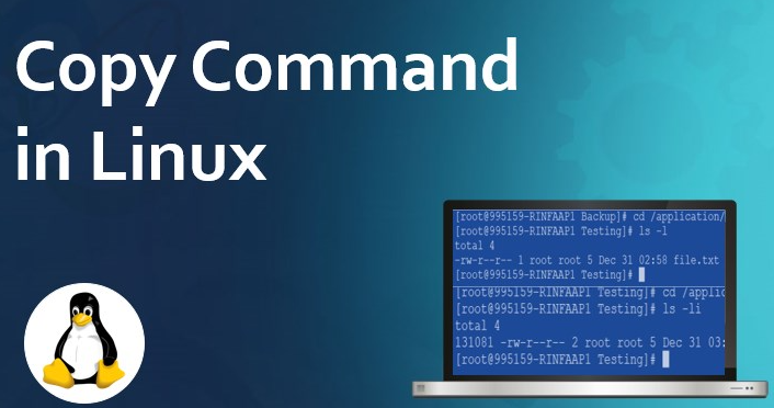 linux復(fù)制文件cp命令怎么使用？.png