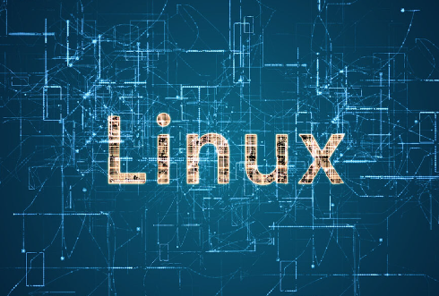 在Linux終端上如何實(shí)現(xiàn)文本流的動態(tài)顯示？.png