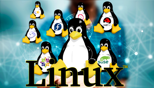 linux分區(qū)滿了怎么辦？.png